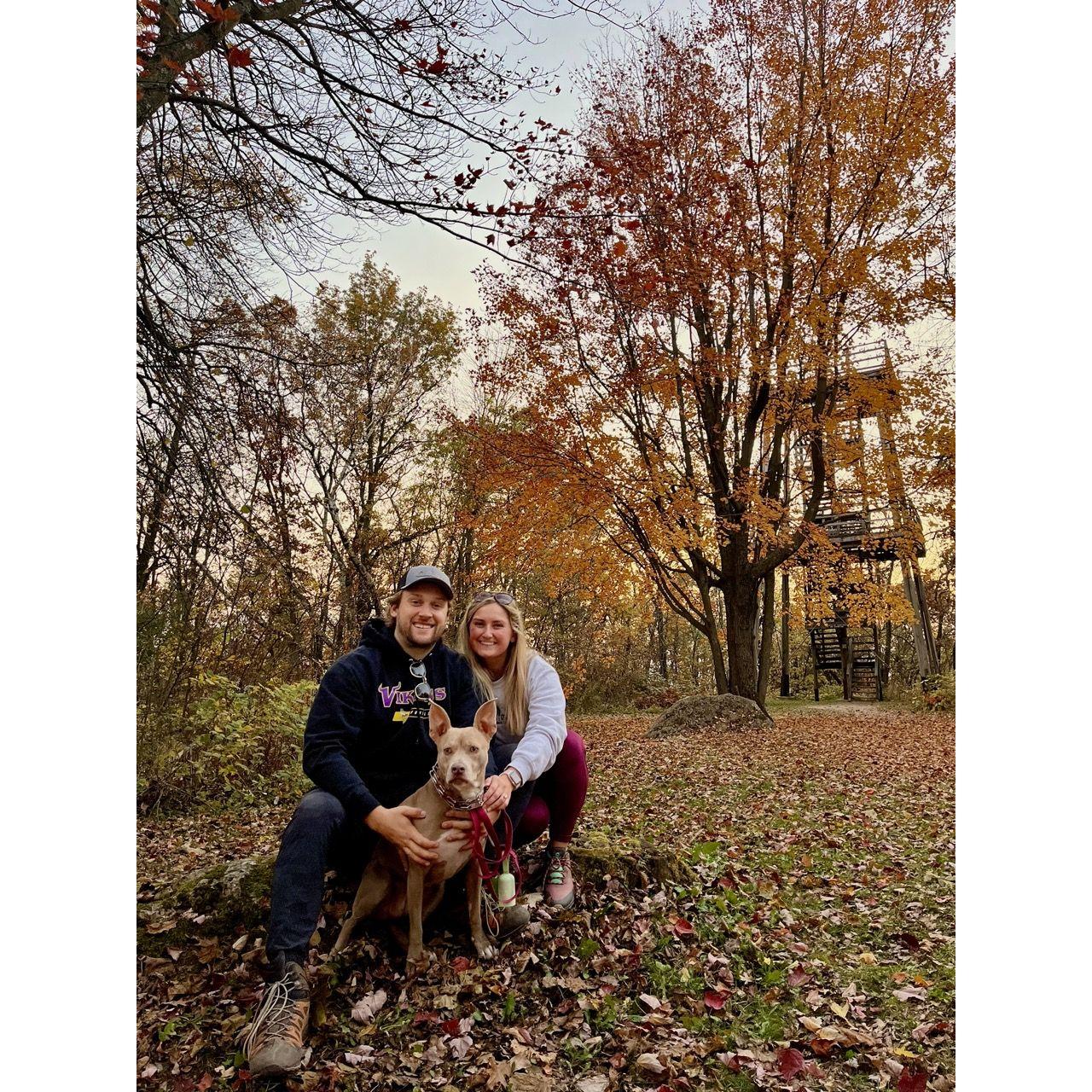 Family walks with Beez