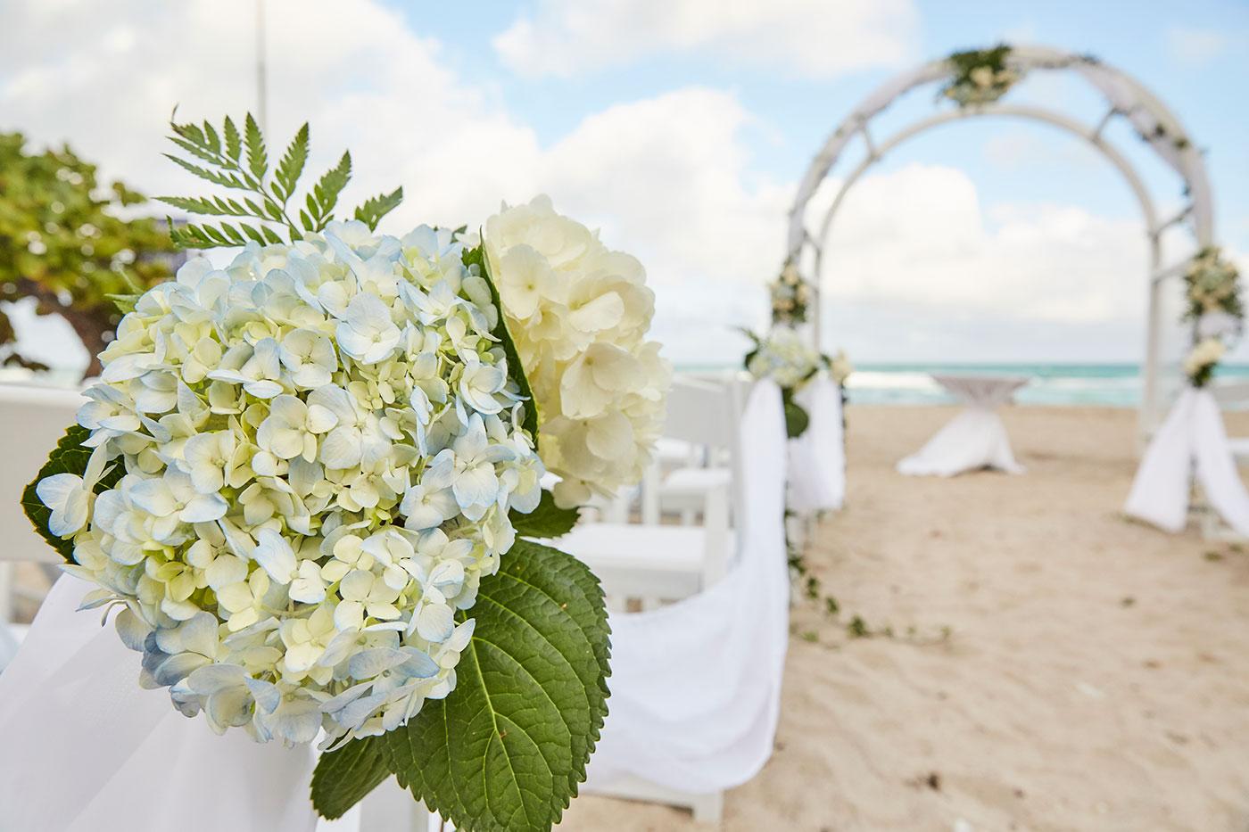 The Wedding Website of Ainesey Anaman and Francis Anaman