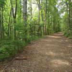 Bradley Nature Preserve at Alexander's Ford