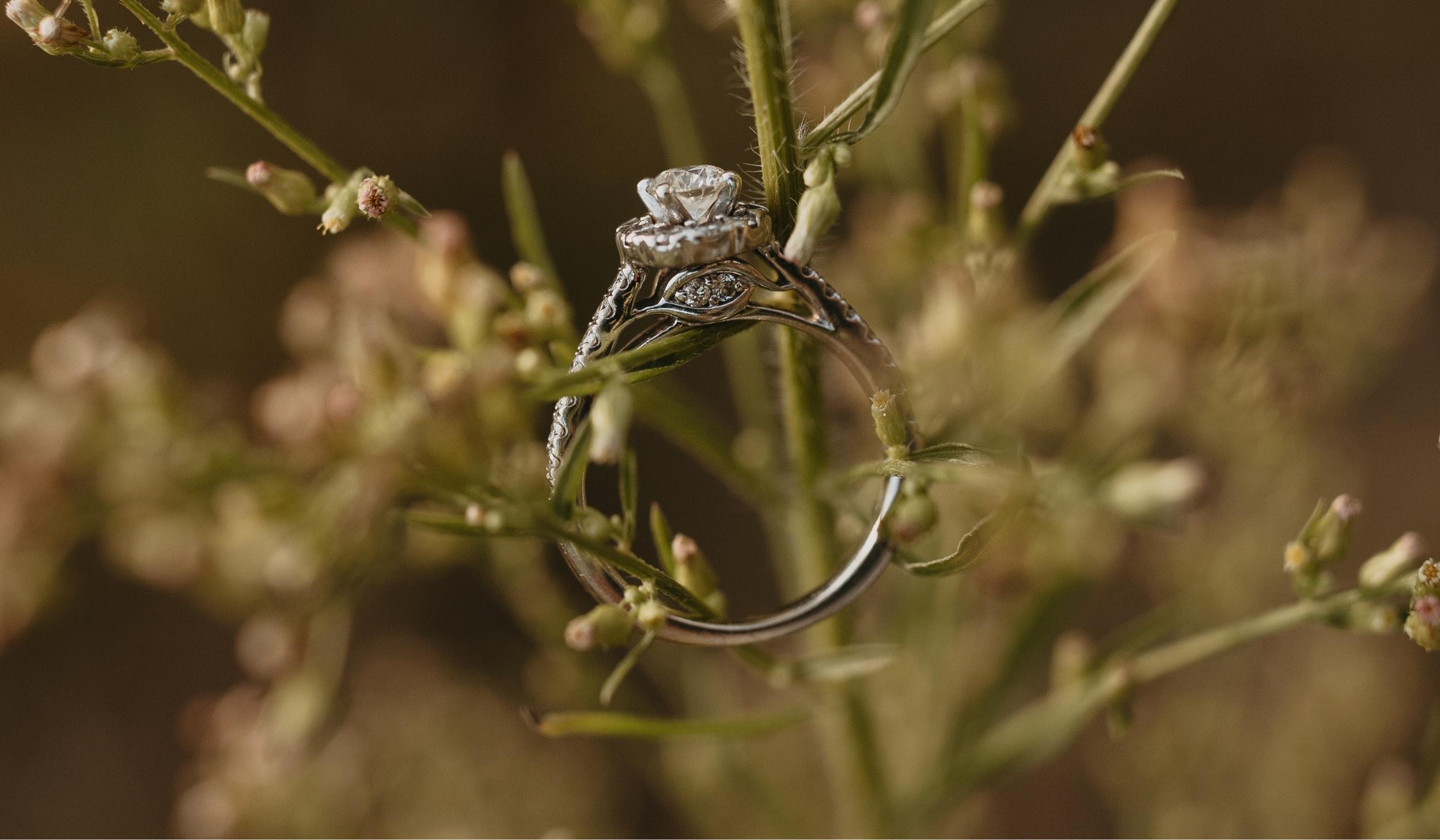 The Wedding Website of Sydney Grace Owens and Brandt Royce Stapleton