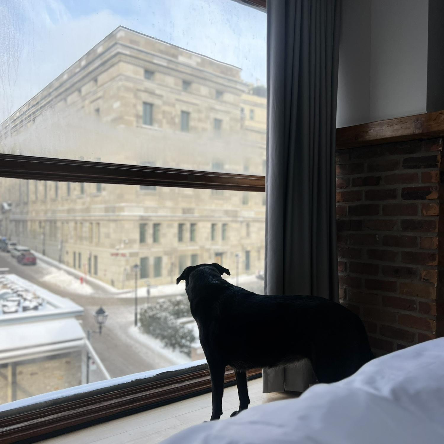 Montreal