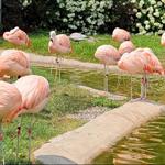 Cleveland Metroparks Zoo