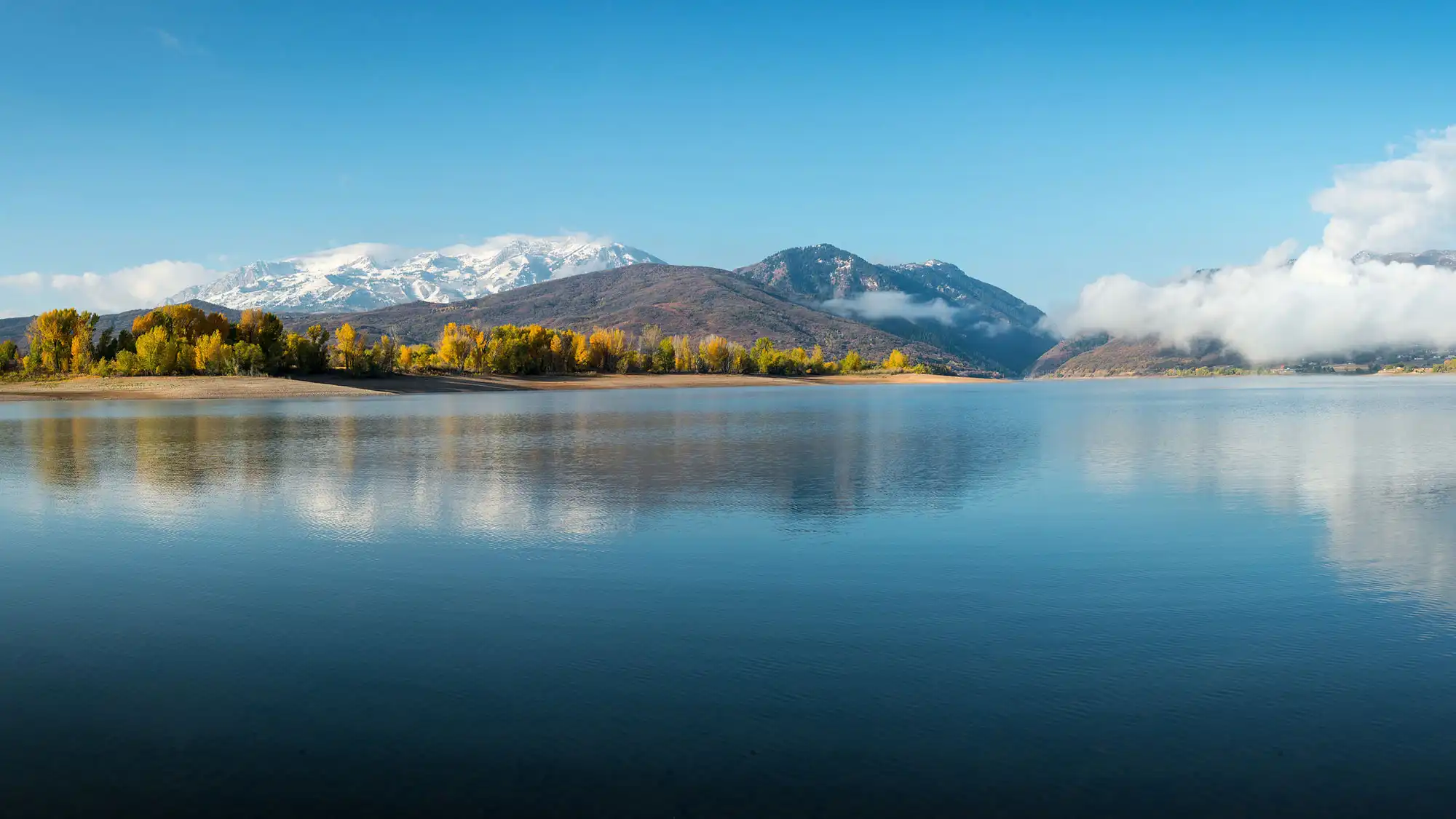 The Wedding Website of Meredith Setzman and Gregory Wulczynski