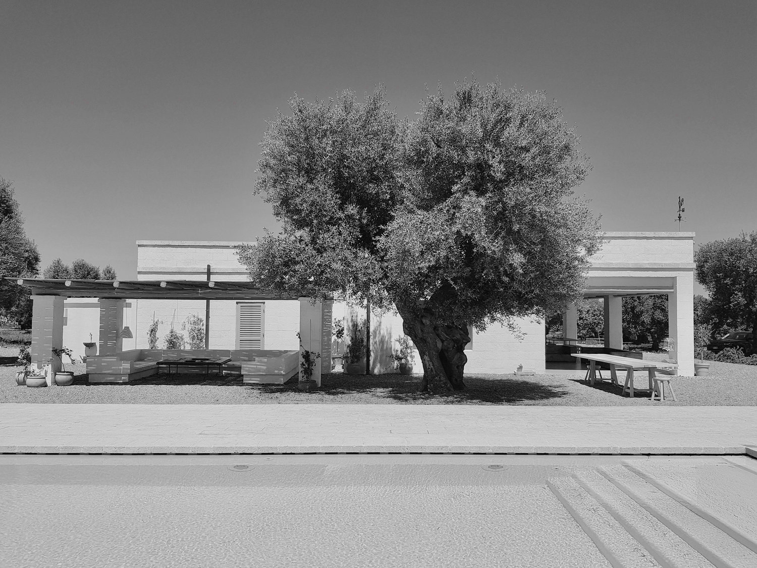 The Wedding Website of Carola Deflorio and Charlie Misell