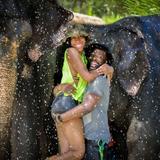 Elephant Jungle Sanctuary Phuket