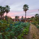 Flora Farms