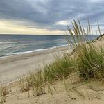 Wellfleet