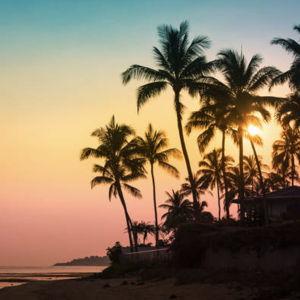 Laura and Justin's Honeymoon to Hawaii