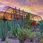 Visit Desert Botanical Gardens