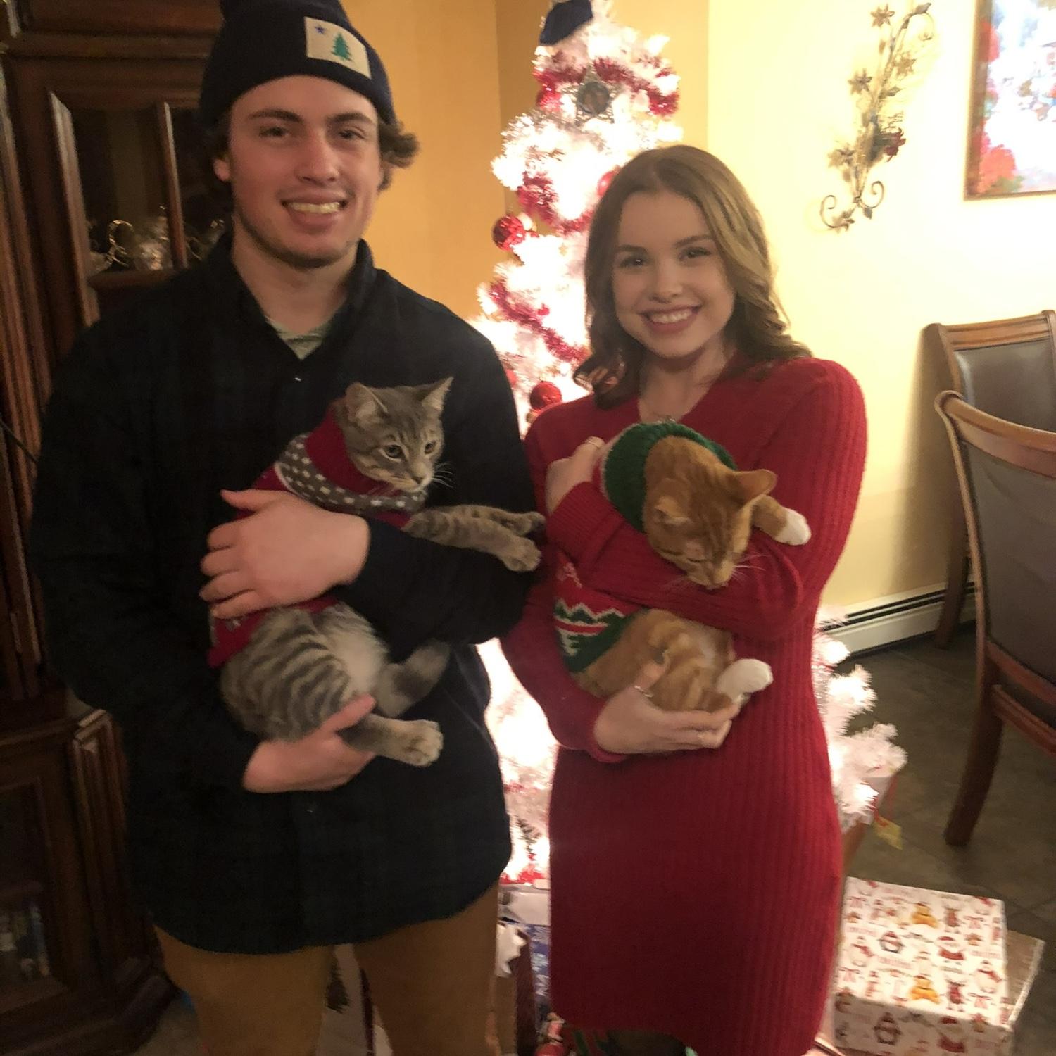 Our kitties! They had such cute Christmas sweaters this year!