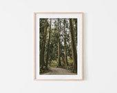 Snoqualmie Falls, Seattle Wall Art, Fine...