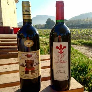 E-Bike Wine Tasting Tour for 2 - Cassis, France