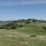 Volcan Mountain Wilderness Preserve