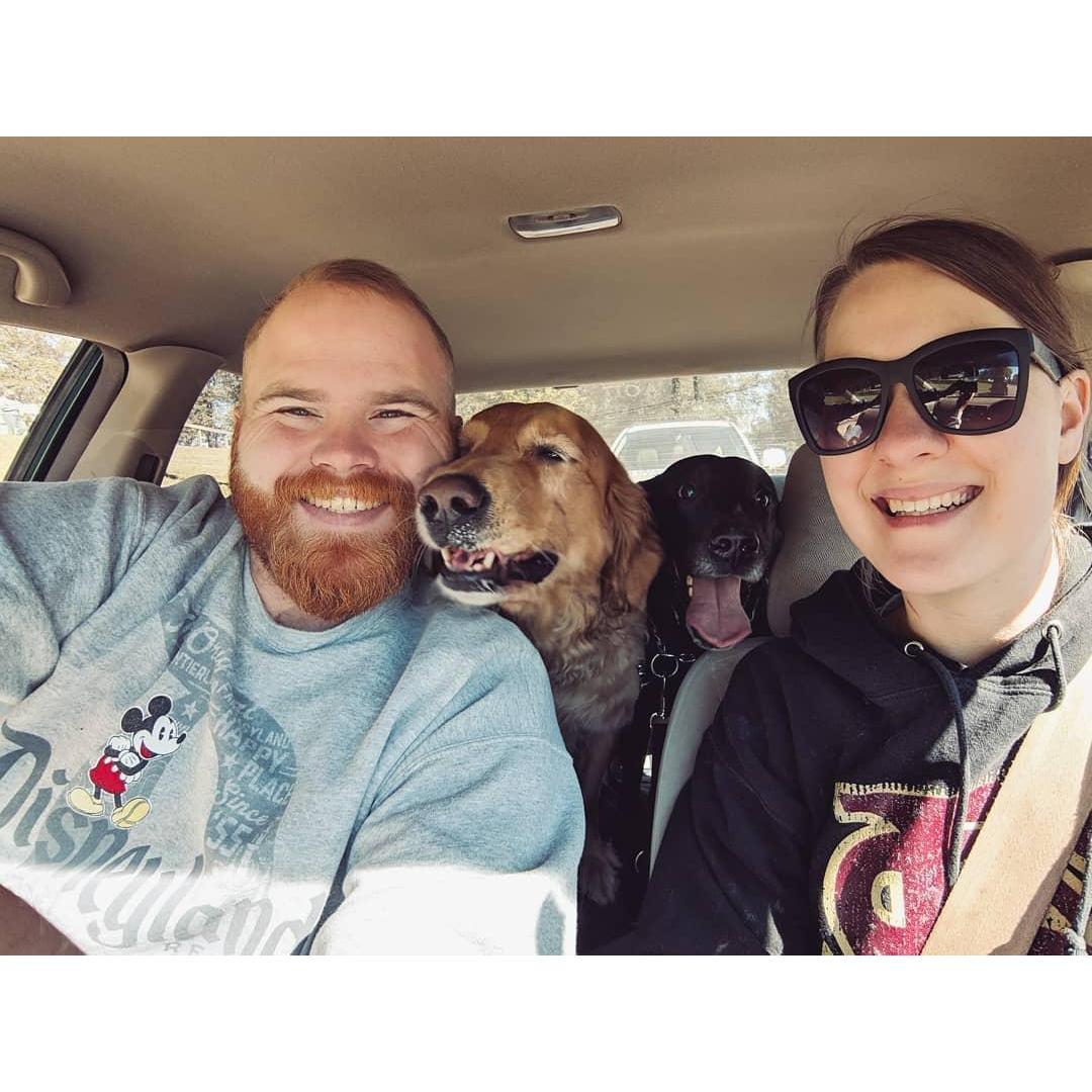 Fur babies in Nashville!