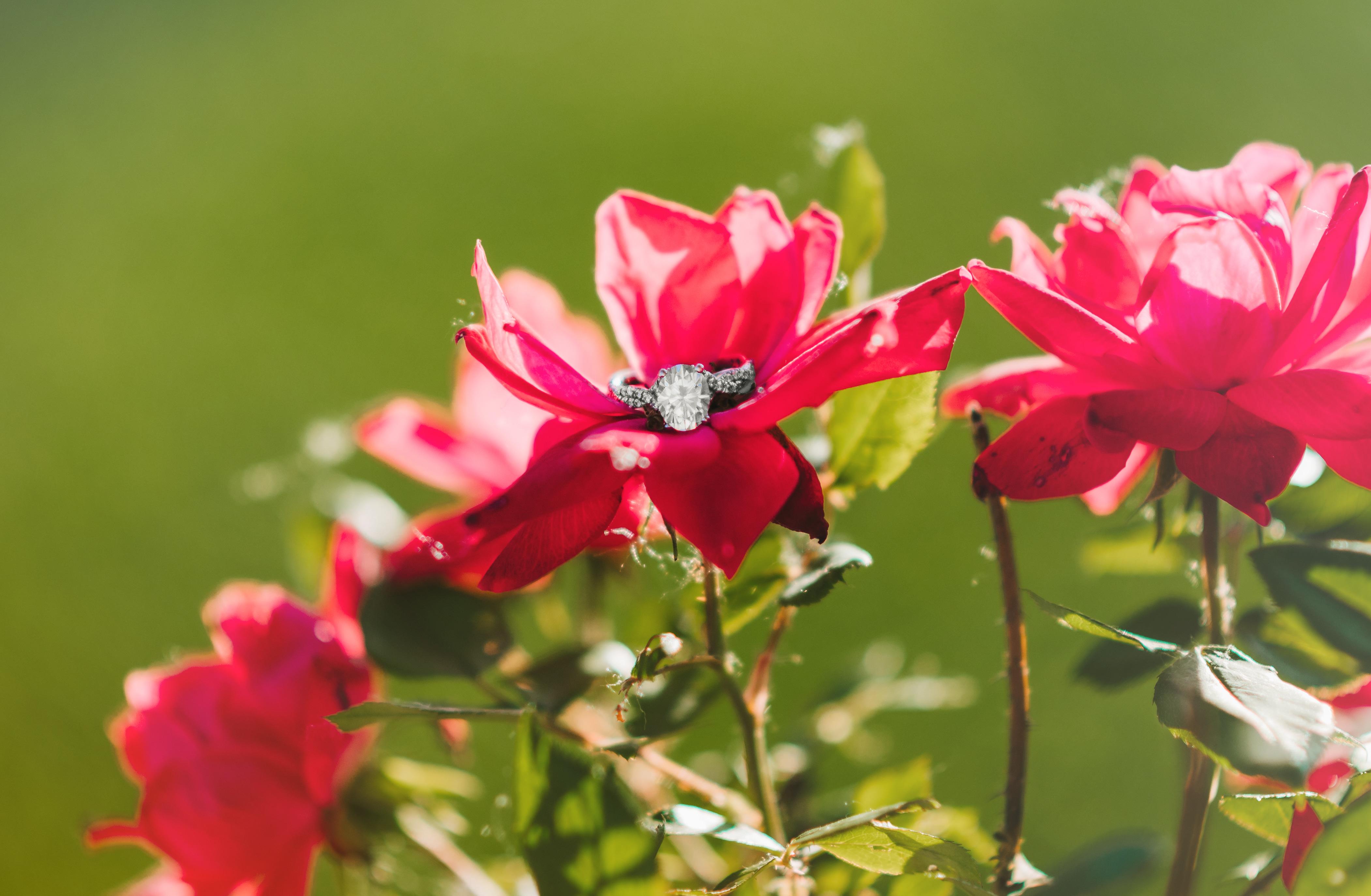 The Wedding Website of Laura Wells and John Parent