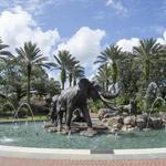 Audubon Zoo