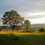 Mount Pisgah