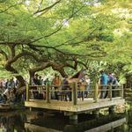 San Francisco Botanical Garden