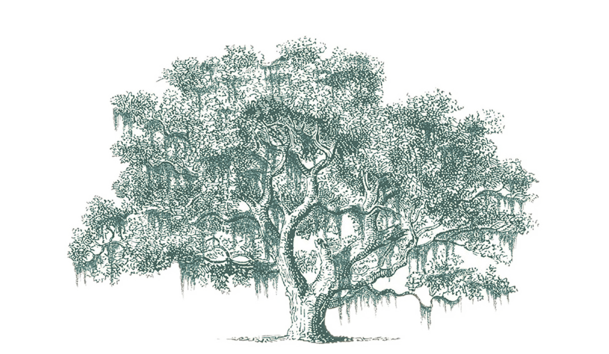 Footer image