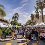 Little Italy Mercato Farmers' Market