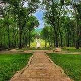 Percy Warner Park Allée