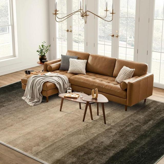 Lahome 8x10 Living Room Rugs, Washable Black Rug for Bedroom Ombre Large Area Rug with Striped, Modern Soft Grey Rug Non Slip Non-Shedding Low Pile Carpet for Dining Room Office, Black/Brown