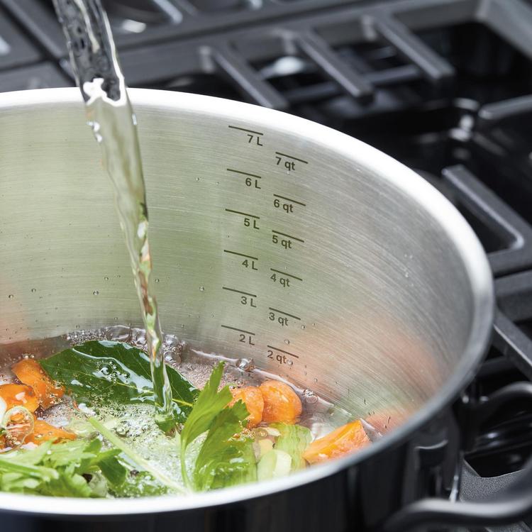 5-Ply Clad Stainless Steel 8 qt. Stockpot with Lid