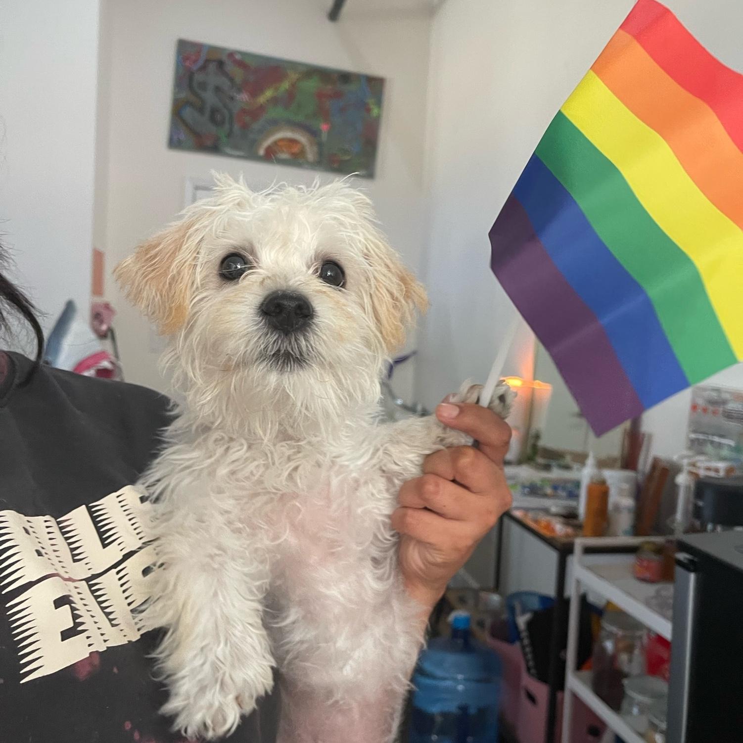 Phoebe says gay rights!