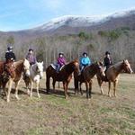 Trackrock Stables