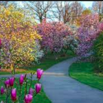 Highland Park