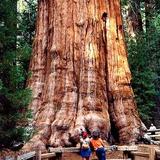 Sequoia National Park