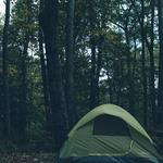 Shenandoah National Park