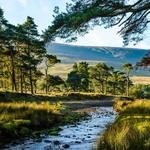 Forest of Bowland