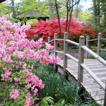 Toledo Botanical Garden