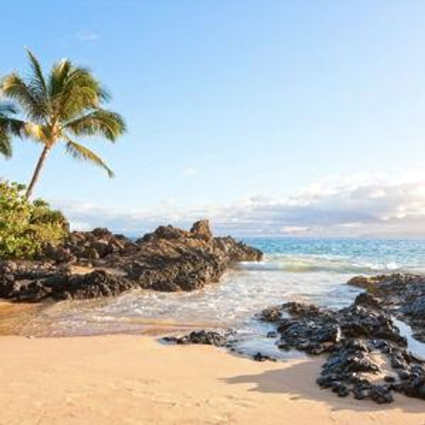 Honeymoon Fund - Hawaii!