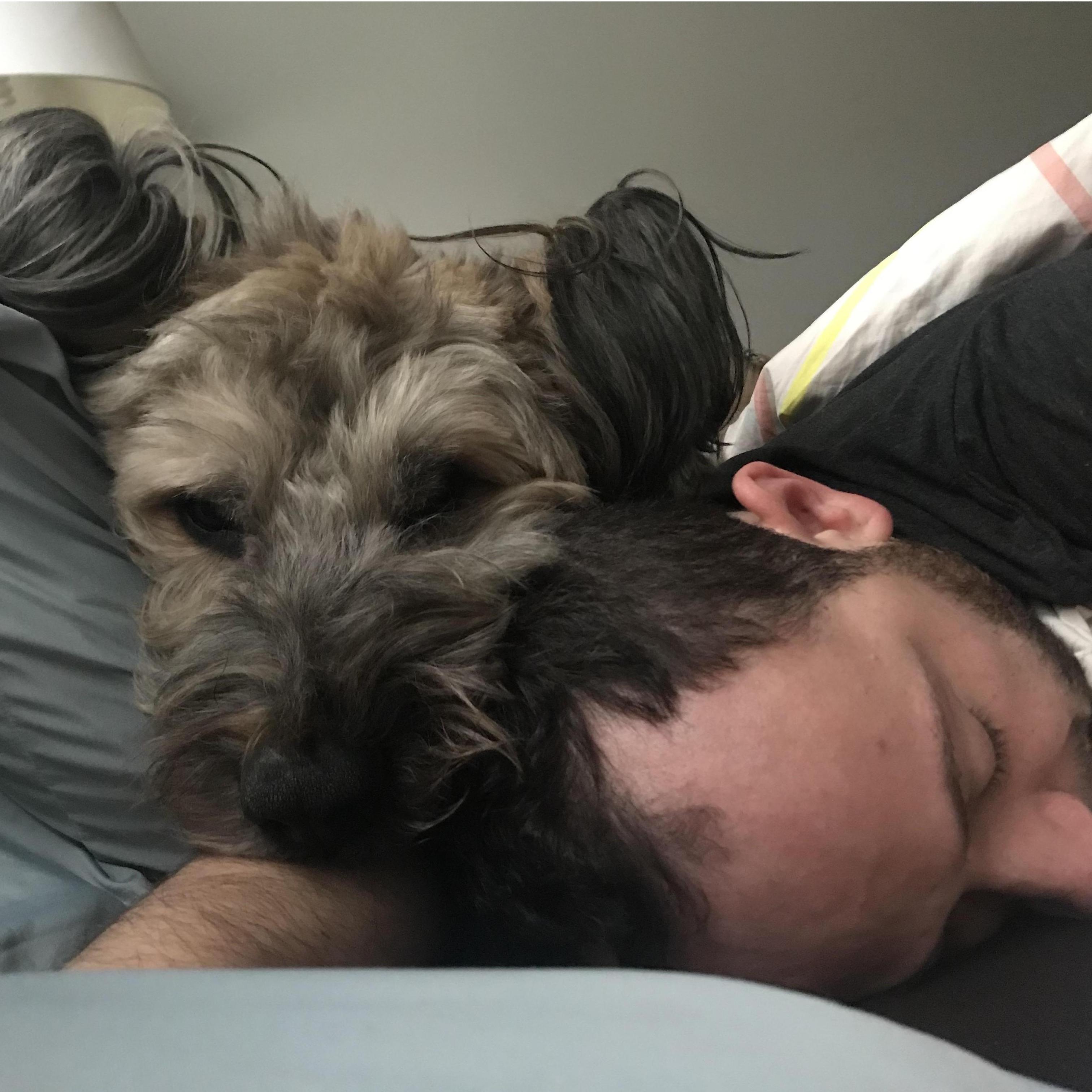 Although Ari started out as stepdad to Henri, he quickly became Dad and the two regularly share morning snuggles.