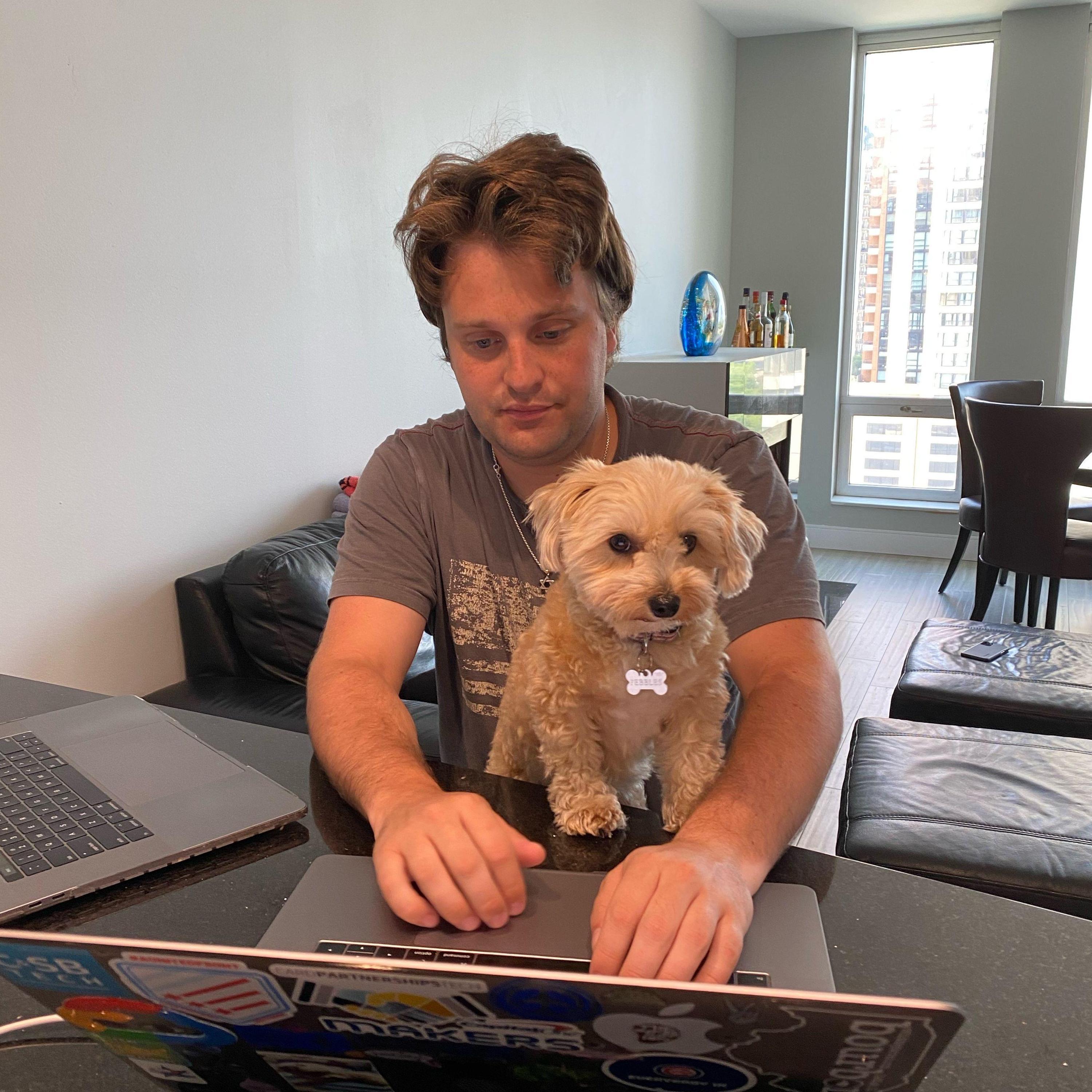 As work from home became the new norm, Pebbles decided that she too could go to work.