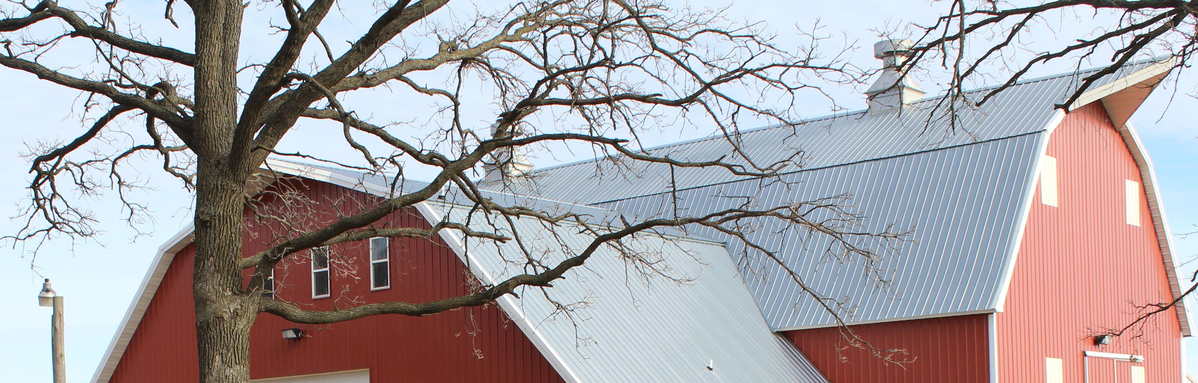 The Wedding Website of Kendal Bjorklund and Travis Arndt