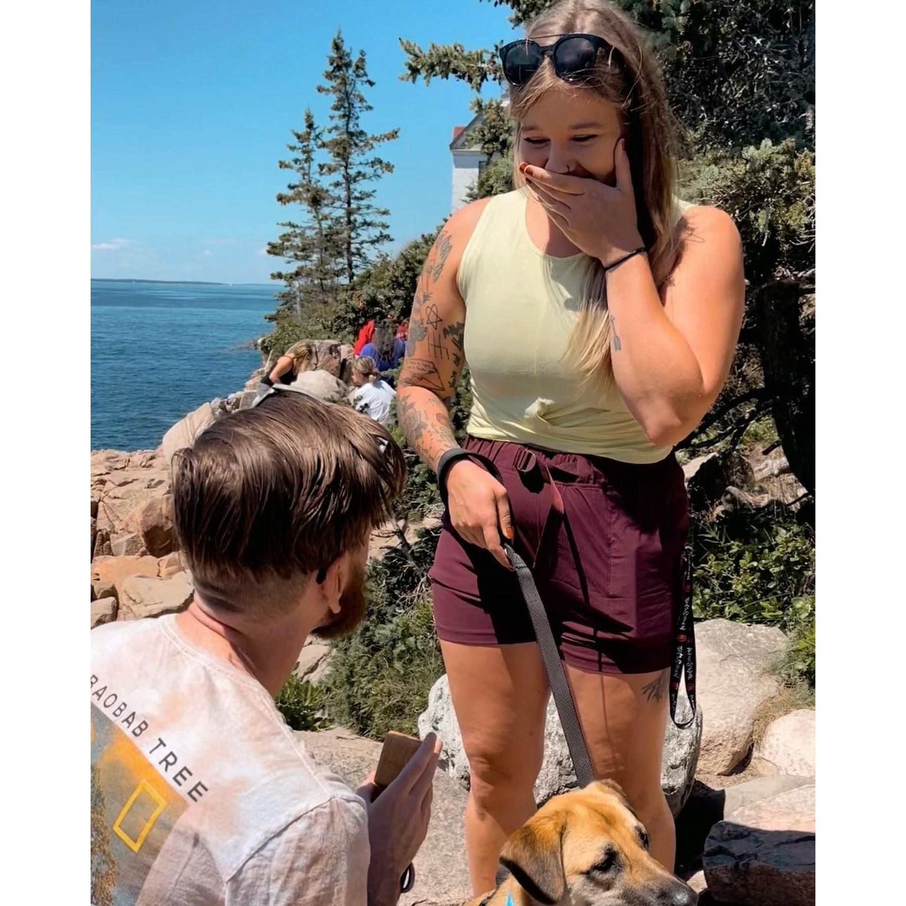 Mark proposed at the Bass Harbor Head Lighthouse in Acadia National Park, Maine on July 13, 2022