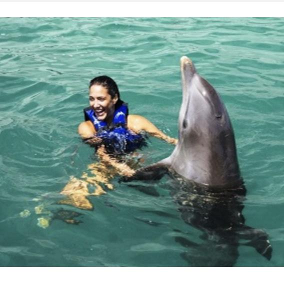 Explorer program - Swim with Dolphins, Sightseeing & Tours