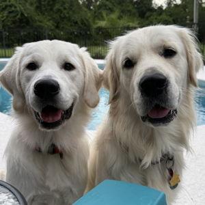 Our Levi and Yeti Fund