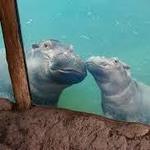 Cincinnati Zoo & Botanical Garden