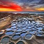 La Jolla Tide Pools