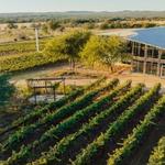 William Chris Vineyards