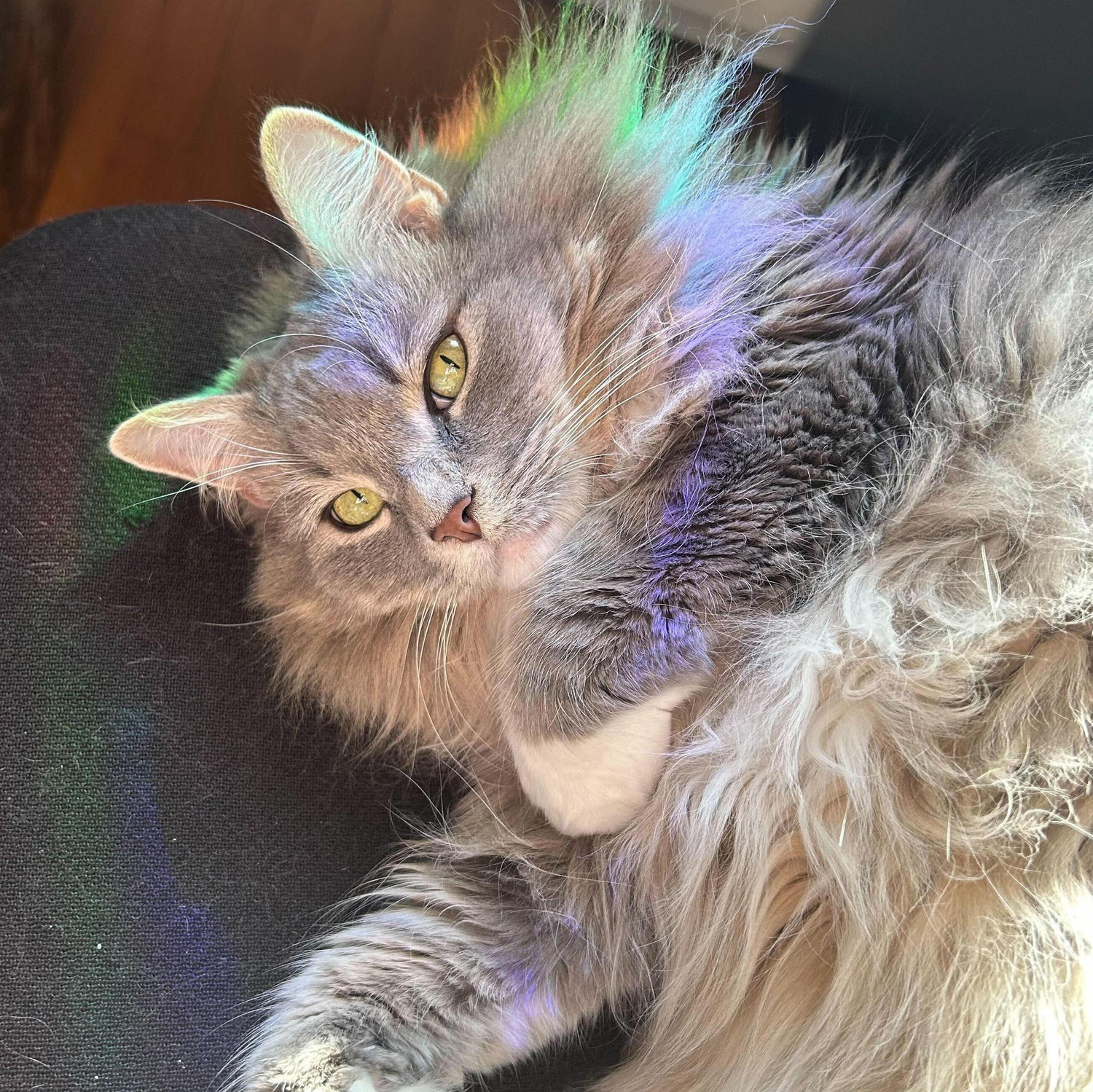 The famous Artemis