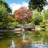 Earl Burns Miller Japanese Garden