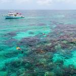 Key Largo Snorkeling Tour