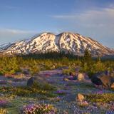 Mount St. Helens