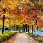 Headwaters Park