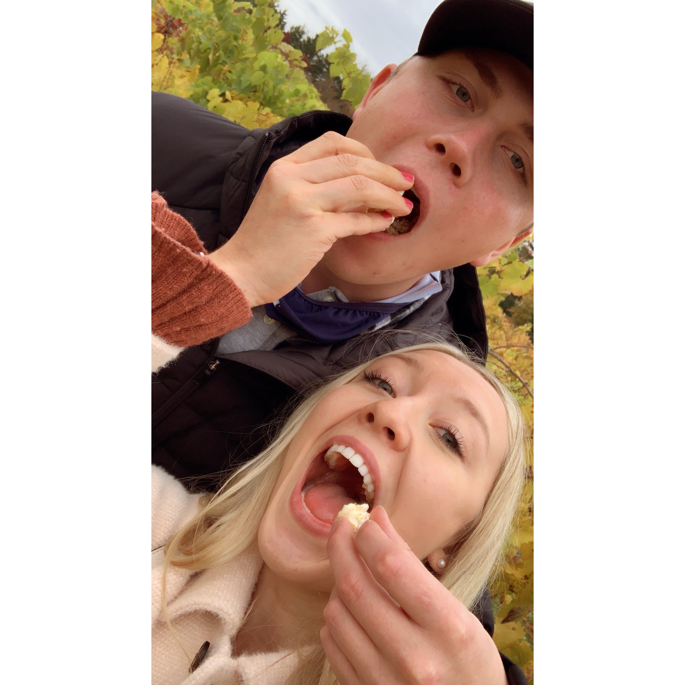 Apple Orchard and kettle corn!